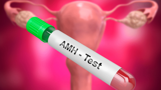 AMH Levels and the Desire to Have Children: Can a Blood Test Really Show How Fertile You Are?